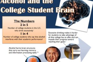 Alcohol and the College Student Brain
