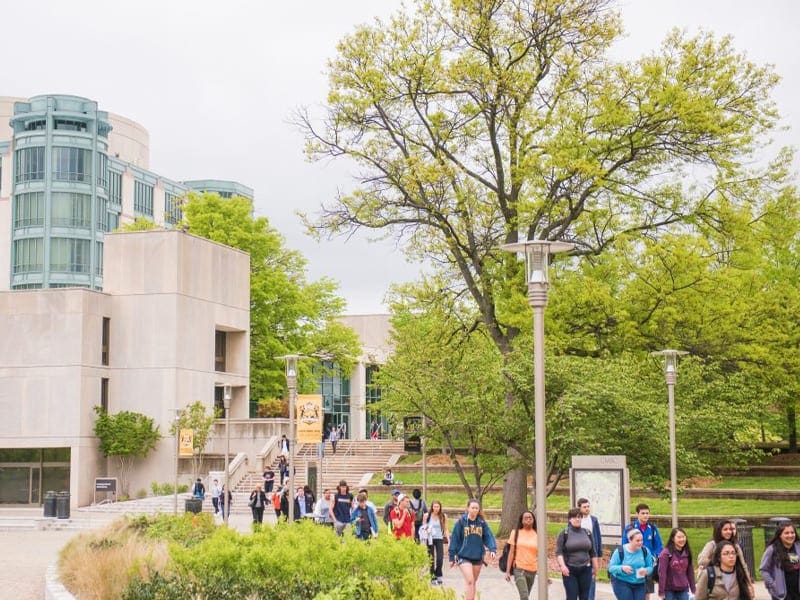 umbcx683 University of Maryland Baltimore County