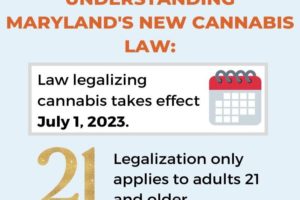 MD Cannabis Law Infographic